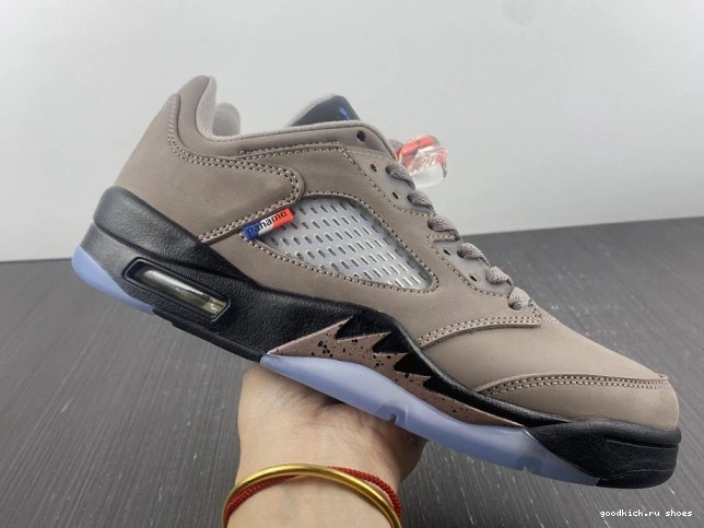 Rep Air x DX6325-204 PSG Jordan Low 5 0825